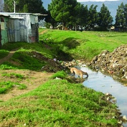 Future Water Research Institute